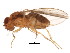  ( - BIOUG01426-G12)  @12 [ ] CreativeCommons - Attribution (2012) CBG Photography Group Centre for Biodiversity Genomics