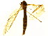  ( - BIOUG01427-G01)  @12 [ ] CreativeCommons - Attribution (2012) CBG Photography Group Centre for Biodiversity Genomics