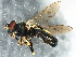  ( - BIOUG01428-E10)  @13 [ ] CreativeCommons - Attribution (2012) CBG Photography Group Centre for Biodiversity Genomics