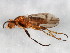  ( - BIOUG01459-C08)  @14 [ ] CreativeCommons - Attribution (2012) CBG Photography Group Centre for Biodiversity Genomics