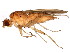  ( - BIOUG01459-D02)  @14 [ ] CreativeCommons - Attribution (2012) CBG Photography Group Centre for Biodiversity Genomics