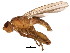  ( - BIOUG01459-D03)  @14 [ ] CreativeCommons - Attribution (2012) CBG Photography Group Centre for Biodiversity Genomics