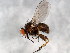  ( - BIOUG01459-D04)  @14 [ ] CreativeCommons - Attribution (2012) CBG Photography Group Centre for Biodiversity Genomics