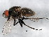  ( - BIOUG01459-F06)  @13 [ ] CreativeCommons - Attribution (2012) CBG Photography Group Centre for Biodiversity Genomics