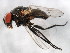  ( - BIOUG01459-G08)  @13 [ ] CreativeCommons - Attribution (2012) CBG Photography Group Centre for Biodiversity Genomics