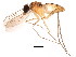  ( - BIOUG01459-H05)  @13 [ ] CreativeCommons - Attribution (2012) CBG Photography Group Centre for Biodiversity Genomics