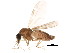  ( - BIOUG01460-C12)  @13 [ ] CreativeCommons - Attribution (2012) CBG Photography Group Centre for Biodiversity Genomics