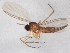  ( - BIOUG01460-F11)  @12 [ ] CreativeCommons - Attribution (2012) CBG Photography Group Centre for Biodiversity Genomics
