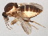  ( - BIOUG01543-C10)  @14 [ ] CreativeCommons - Attribution (2012) CBG Photography Group Centre for Biodiversity Genomics