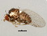 ( - BIOUG01543-H07)  @13 [ ] CreativeCommons - Attribution (2012) CBG Photography Group Centre for Biodiversity Genomics
