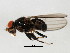  ( - BIOUG01543-H10)  @12 [ ] CreativeCommons - Attribution (2012) CBG Photography Group Centre for Biodiversity Genomics
