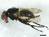  ( - BIOUG01544-D04)  @13 [ ] CreativeCommons - Attribution (2012) CBG Photography Group Centre for Biodiversity Genomics
