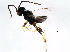  ( - ASGLE2-0256)  @12 [ ] CreativeCommons - Attribution (2011) CBG Photography Group Centre for Biodiversity Genomics