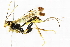  ( - BIOUG00316-A01)  @13 [ ] CreativeCommons - Attribution (2011) CBG Photography Group Centre for Biodiversity Genomics