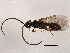  ( - ASGLE-0261)  @13 [ ] CreativeCommons - Attribution (2011) CBG Photography Group Centre for Biodiversity Genomics