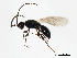  ( - ASGLE-1206)  @12 [ ] CreativeCommons - Attribution (2011) CBG Photography Group Centre for Biodiversity Genomics