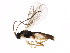  ( - BIOUG00914-E01)  @13 [ ] CreativeCommons - Attribution (2011) CBG Photography Group Centre for Biodiversity Genomics
