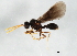  ( - BIOUG00989-A02)  @13 [ ] CreativeCommons - Attribution (2011) CBG Photography Group Centre for Biodiversity Genomics