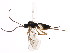  ( - BIOUG00991-G04)  @12 [ ] CreativeCommons - Attribution (2011) CBG Photography Group Centre for Biodiversity Genomics