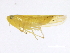  ( - BIOUG00906-A02)  @13 [ ] CreativeCommons - Attribution (2011) CBG Photography Group Centre for Biodiversity Genomics