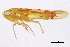  ( - BIOUG00906-B10)  @12 [ ] CreativeCommons - Attribution (2011) CBG Photography Group Centre for Biodiversity Genomics