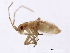  ( - BIOUG00906-F02)  @12 [ ] CreativeCommons - Attribution (2011) CBG Photography Group Centre for Biodiversity Genomics