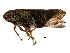 ( - BIOUG00901-A09)  @14 [ ] CreativeCommons - Attribution (2011) CBG Photography Group Centre for Biodiversity Genomics