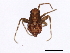  ( - BIOUG00906-F05)  @12 [ ] CreativeCommons - Attribution (2011) CBG Photography Group Centre for Biodiversity Genomics