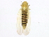 ( - BIOUG00906-H01)  @14 [ ] CreativeCommons - Attribution (2011) CBG Photography Group Centre for Biodiversity Genomics