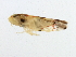  ( - BIOUG00936-B02)  @13 [ ] CreativeCommons - Attribution (2011) CBG Photography Group Centre for Biodiversity Genomics