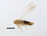  ( - BIOUG00936-B11)  @13 [ ] CreativeCommons - Attribution (2011) CBG Photography Group Centre for Biodiversity Genomics