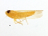  ( - BIOUG00936-D01)  @13 [ ] CreativeCommons - Attribution (2011) CBG Photography Group Centre for Biodiversity Genomics