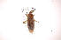  ( - INB0003573998)  @14 [ ] Copyright (2012) J. Lewis Instituto Nacional de Biodiversidad