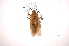  ( - INB0003892444)  @13 [ ] Copyright (2012) J. Lewis Instituto Nacional de Biodiversidad