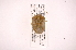 ( - INB0003931728)  @13 [ ] Copyright (2012) Jim Lewis Instituto Nacional de Biodiversidad