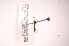  ( - INB0004292384)  @11 [ ] Copyright (2012) J. Lewis Instituto Nacional de Biodiversidad