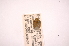  ( - INBIOCRI000873636)  @11 [ ] Copyright (2012) Jim Lewis Instituto Nacional de Biodiversidad