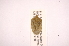  ( - INBIOCRI001761716)  @13 [ ] Copyright (2012) Jim Lewis Instituto Nacional de Biodiversidad