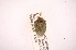  ( - INBIOCRI001899911)  @13 [ ] Copyright (2012) Jim Lewis Instituto Nacional de Biodiversidad