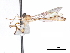  ( - CCDB-31120-C12)  @11 [ ] CreativeCommons - Attribution (2017) CBG Photography Group Centre for Biodiversity Genomics
