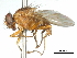  ( - CCDB-31128-D12)  @11 [ ] CreativeCommons - Attribution (2017) CBG Photography Group Centre for Biodiversity Genomics