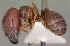  ( - CASENT0189365)  @13 [ ] Unspecified (default): All Rights Reserved  Unspecified Unspecified