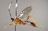  ( - INB0003535286)  @11 [ ] Copyright (2010) Ronald Zuniga Unspecified