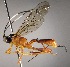  ( - INB0004010620)  @12 [ ] Copyright (2010) Ronald Zuniga Unspecified