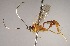  ( - INBIOCRI001783104)  @12 [ ] Copyright (2010) Ronald Zuniga Unspecified