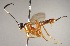  ( - INBIOCRI001961460)  @11 [ ] Copyright (2010) Ronald Zuniga Unspecified