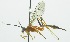  ( - INB0003042061)  @11 [ ] Copyright (2011) R. Zuniga Unspecified