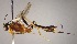  ( - INB0003134359)  @11 [ ] Copyright (2010) Ronald Zuniga Unspecified