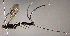  ( - INB0003157501)  @13 [ ] Copyright (2010) Ronald Zuniga Unspecified