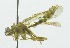  ( - INB0003159263)  @12 [ ] Copyright (2011) R. Zuniga Unspecified